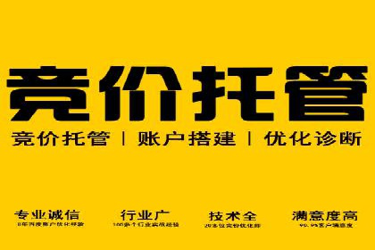 某企业如何通过SEM提升品牌知名度的案例